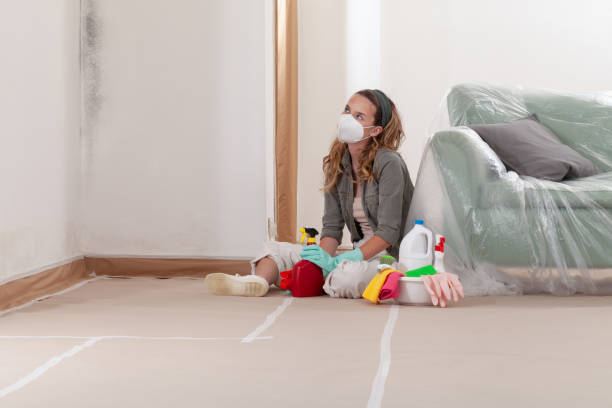 Reliable Black Mold Removal contractor in Point Pleasant Beach, NJ by WQB Mold Removal